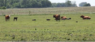 SL June 1 400x178 SL June 1 400x178