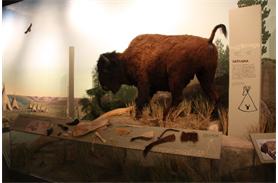 SL SD Center 2 SL SD Center 2