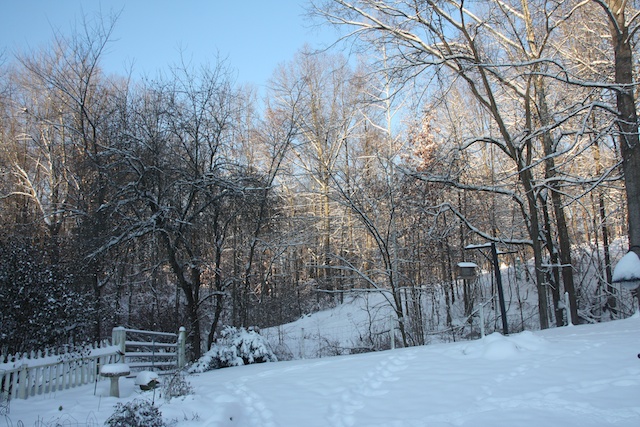 First Day of Winter 001