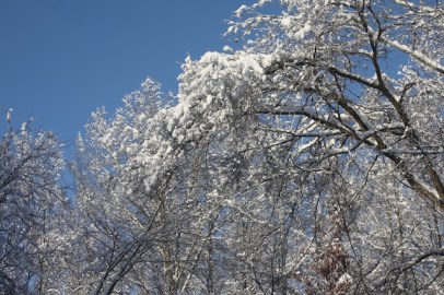 Winter In Indiana 002