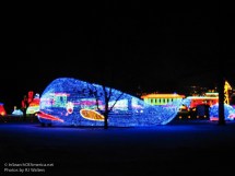 Festival of Lights - Peoria IL 2008