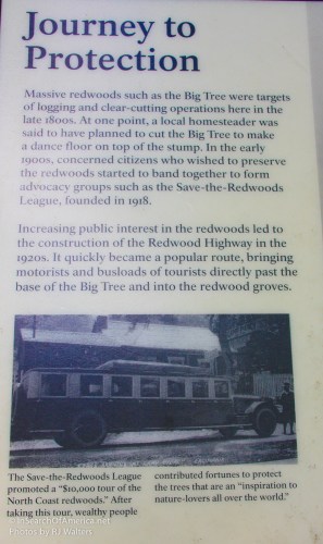 To The Redwood Forests