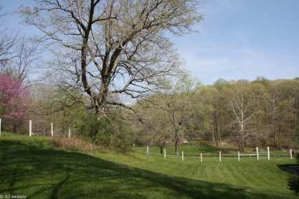 Homestead Pics-2.jpg