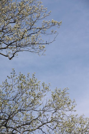 Homestead Pics-5.jpg