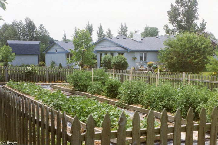 1993 Garden