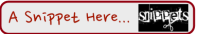 Snippet Banner