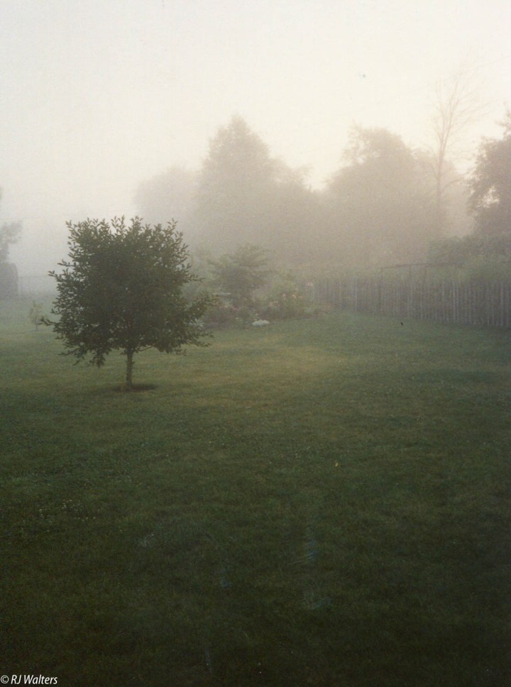 misty-morning
