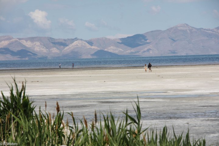 The Great Salt Lake.jpg