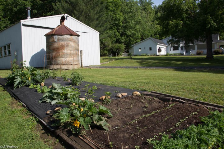 Veggie Gardens-3.jpg