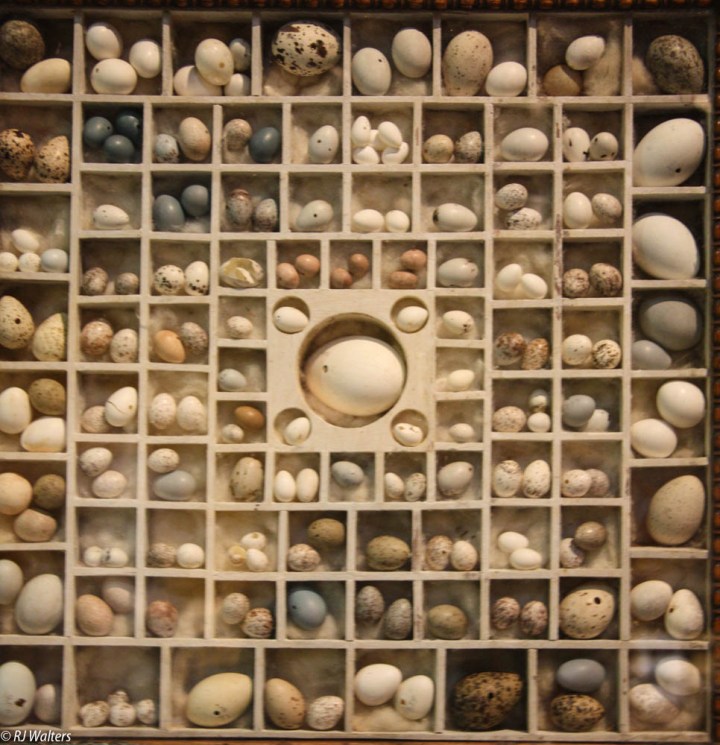 Marbles and Eggs.jpg