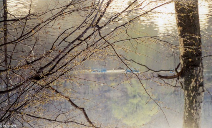 NYC Central Park.jpg