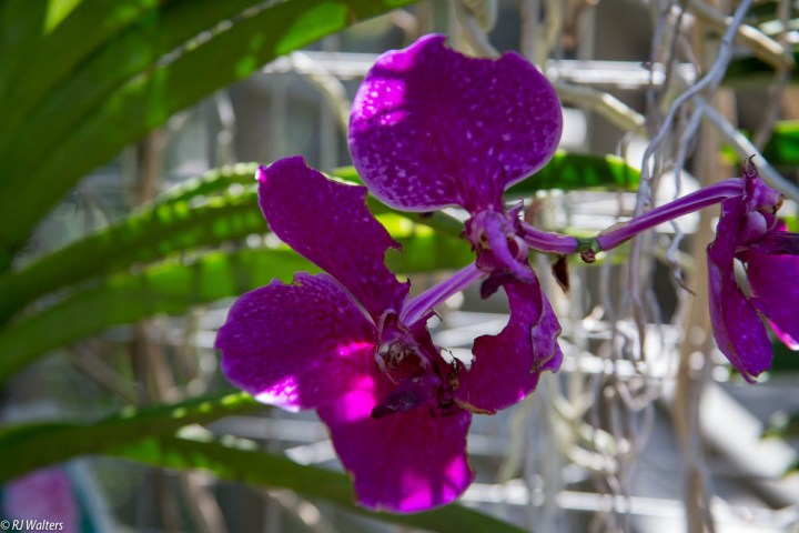 Beautiful Imperfection.jpg