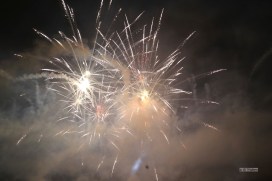 Dianey Fireworks